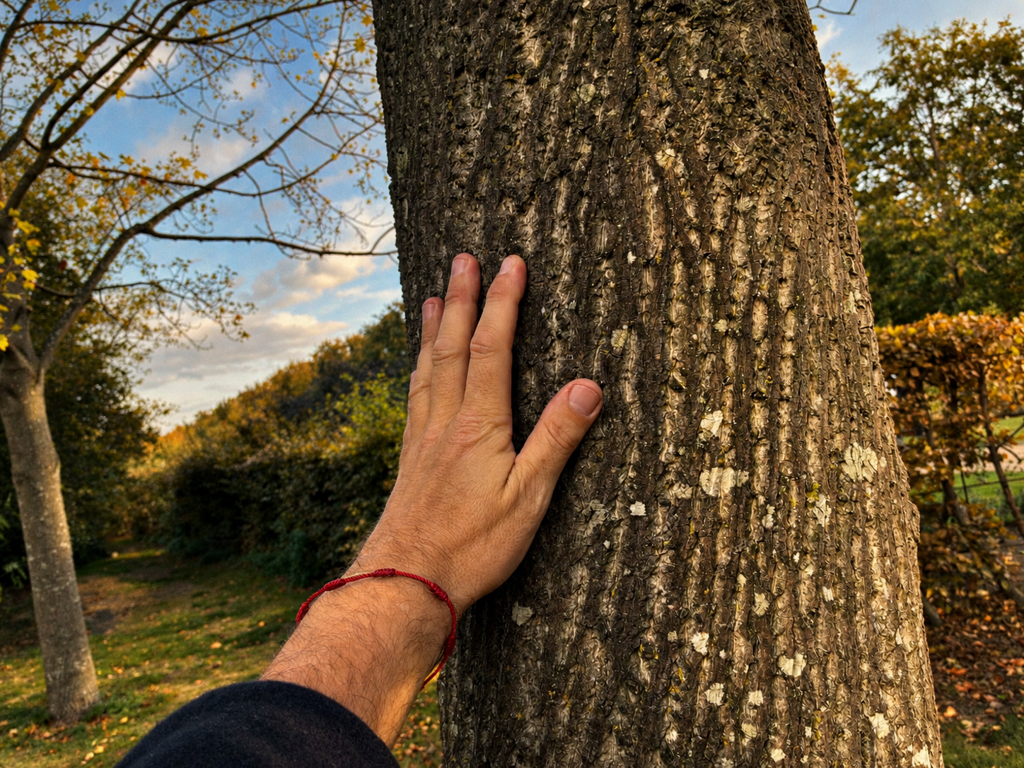 And Pause