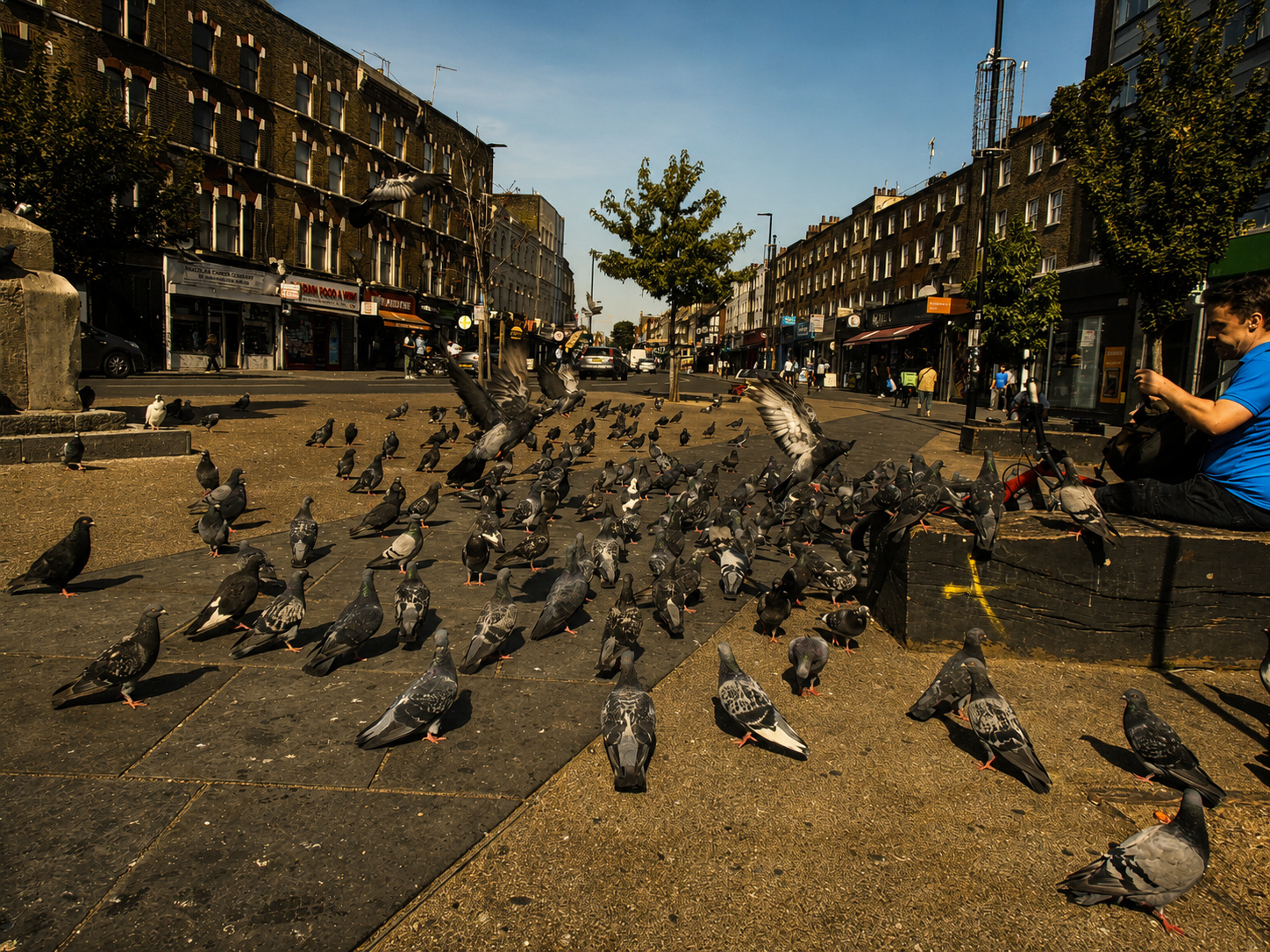 Pigeon Street