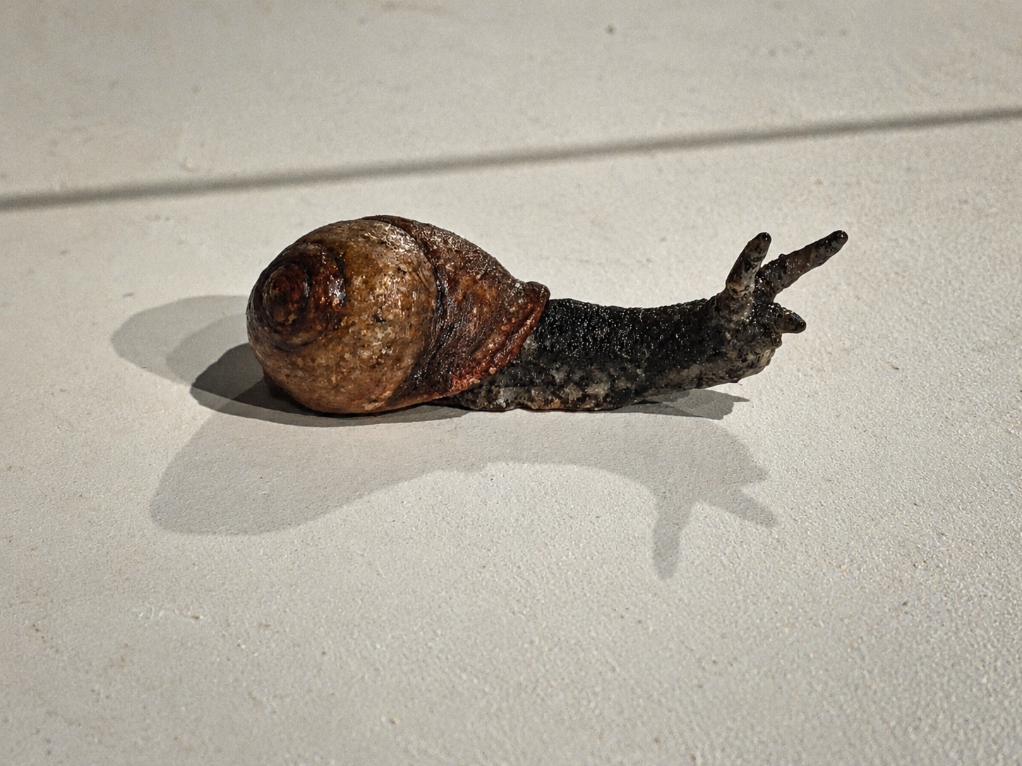 Snail