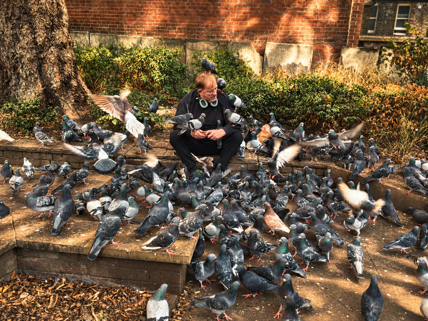 Bird Man